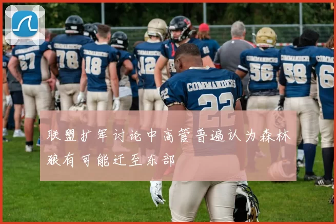 联盟扩军讨论中高管普遍认为森林狼有可能迁至东部